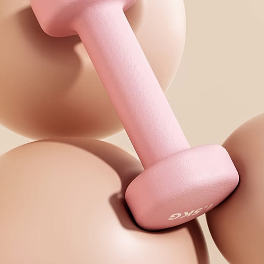 1pc Solid Cast Iron Dumbbell | Multi-Colour